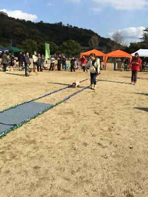 運動会(*^▽^)/★*☆♪_f0301945_2021122.jpg