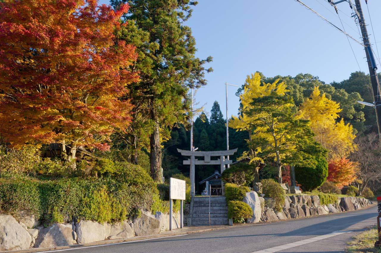 ★熊野神社の紅葉　福岡県糟屋郡新宮町的野_b0023047_04172876.jpg