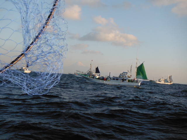 f0175450_413171.jpg