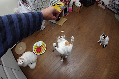 ハッスルひじき!_a0028451_12551160.jpg