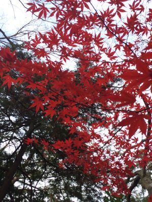 年末の大仕事、ありがとうございます_c0162653_22105157.jpg