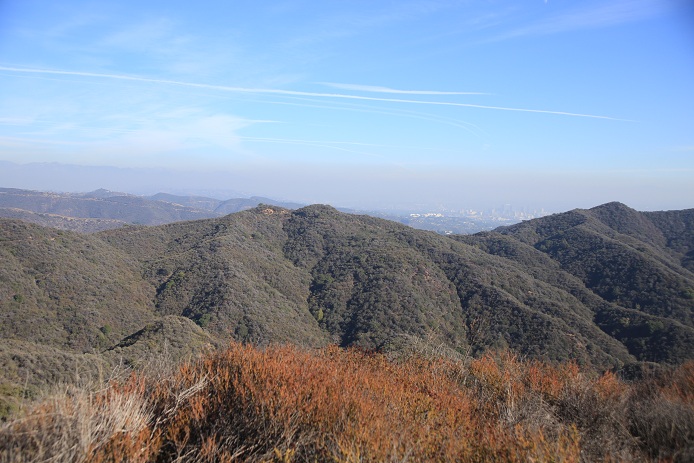f0032653_9331173.jpg