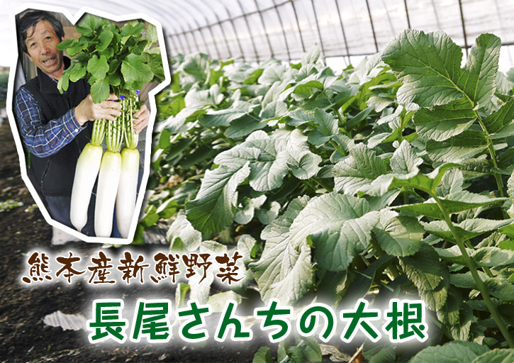 「長尾農園」　長尾ブランドの新鮮野菜！大好評発売中!!_a0254656_19123127.jpg