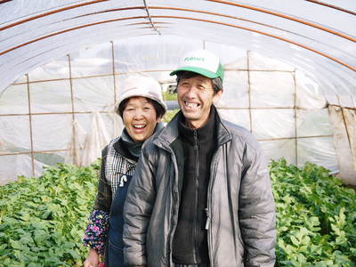 「長尾農園」 長尾ブランドの新鮮野菜!大好評発売中!!_a0254656_20253383.jpg