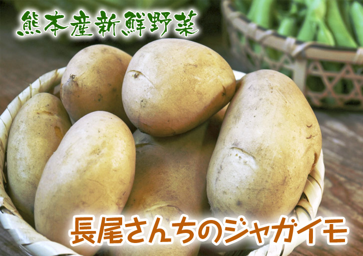 「長尾農園」　長尾ブランドの新鮮野菜！大好評発売中!!_a0254656_211646.jpg