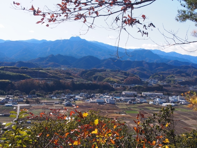 晩秋の神成山　（  2014.12.７　）_b0335256_15070861.jpg