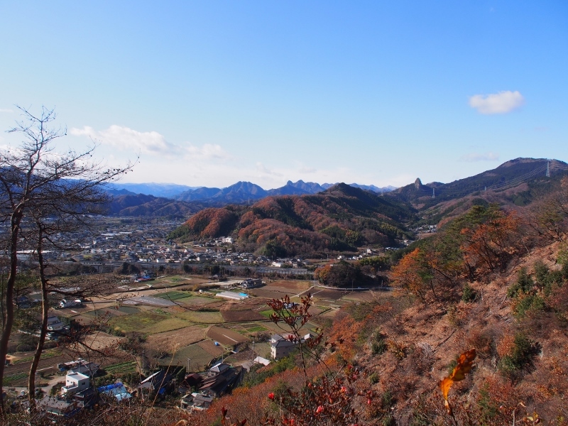 晩秋の神成山　（  2014.12.７　）_b0335256_15081346.jpg