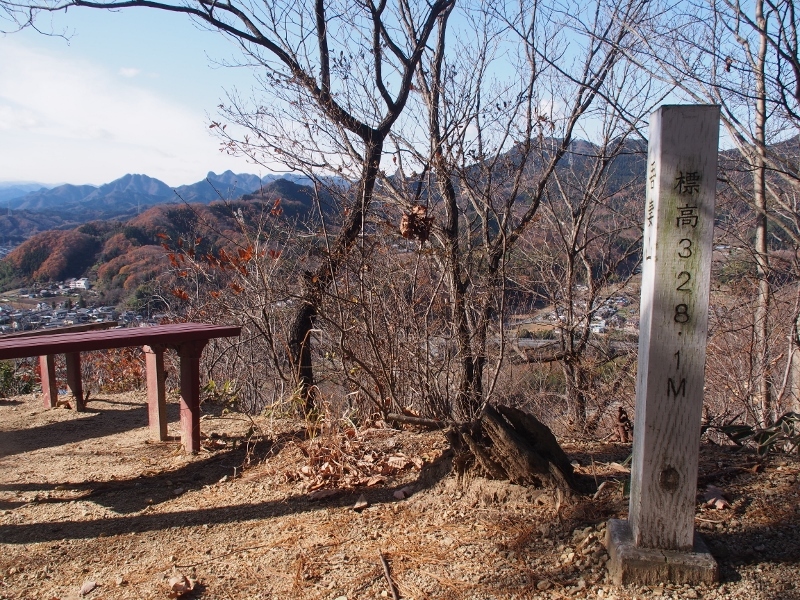 晩秋の神成山　（  2014.12.７　）_b0335256_15102695.jpg