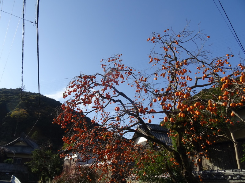 c0108460_18004266.jpg
