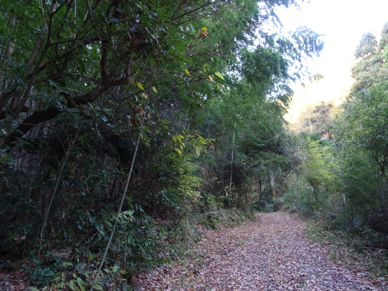 c0108460_18004323.jpg