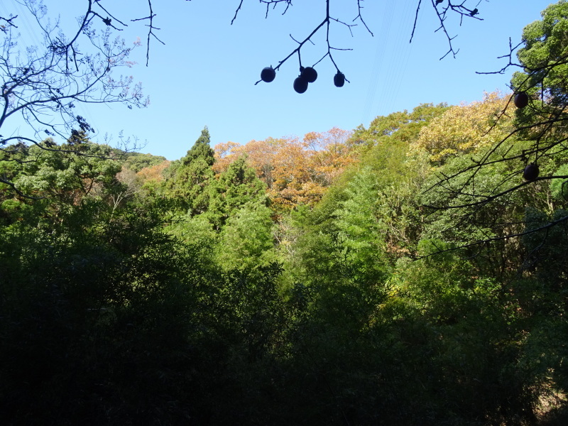c0108460_18005099.jpg