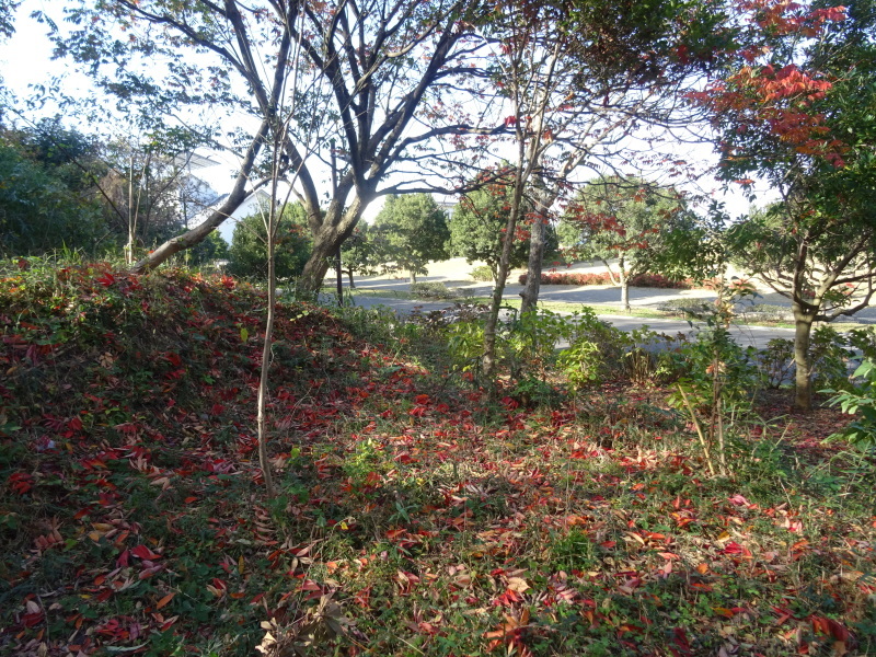 c0108460_18053879.jpg
