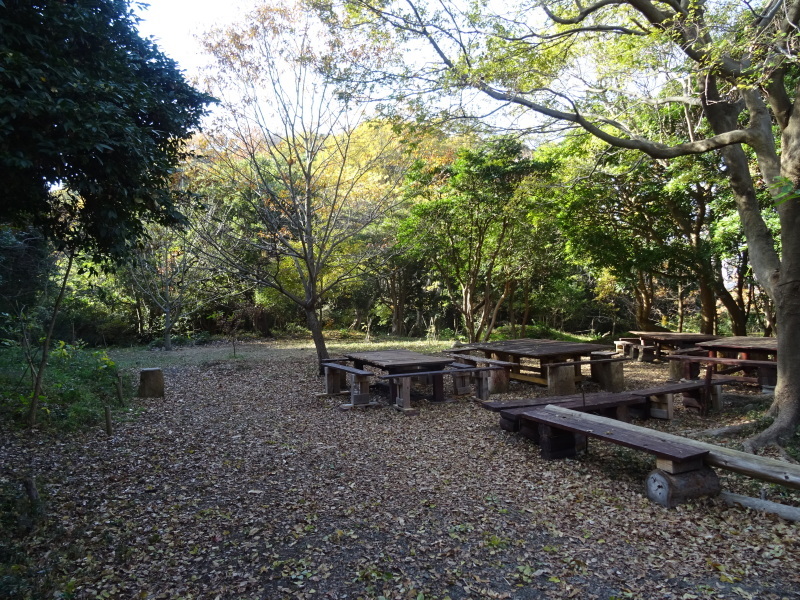 c0108460_18054027.jpg