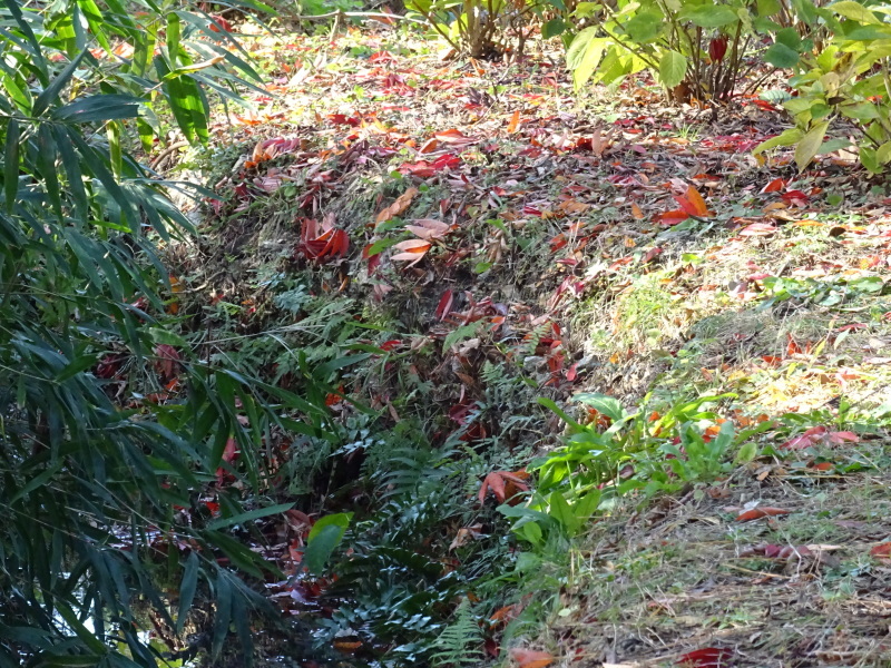 c0108460_18054341.jpg
