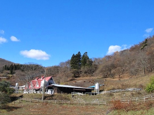 c0119160_1936414.jpg
