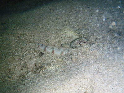 c0180460_21218.jpg