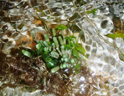 c0180460_222535.jpg