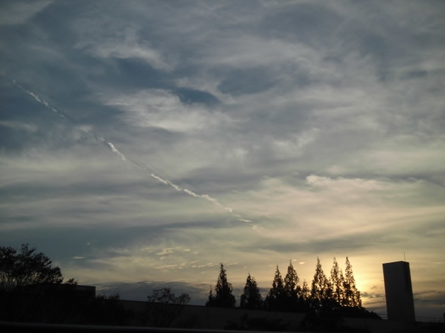 c0322261_23212623.jpg