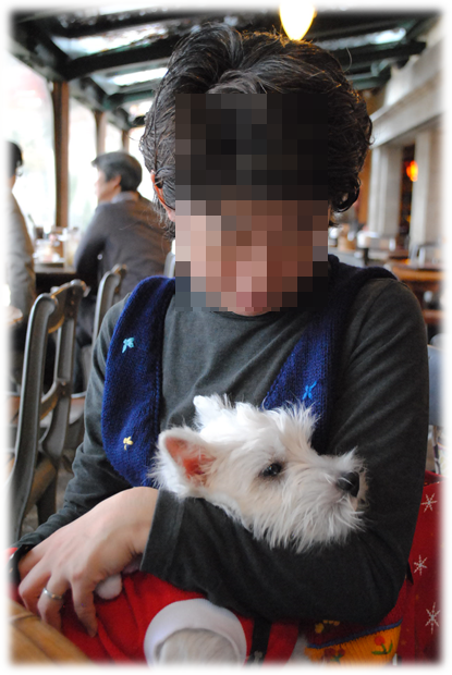 b0242873_23311919.png