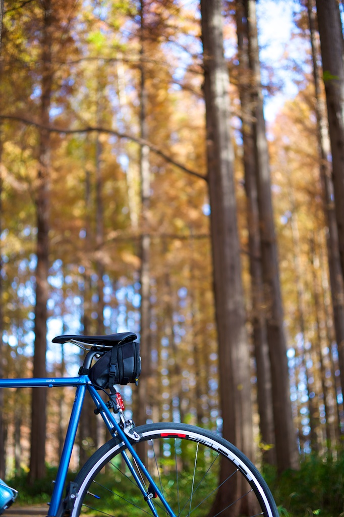 2014 自転車日和 ・久しぶりに漕いだ_b0247073_2245104.jpg