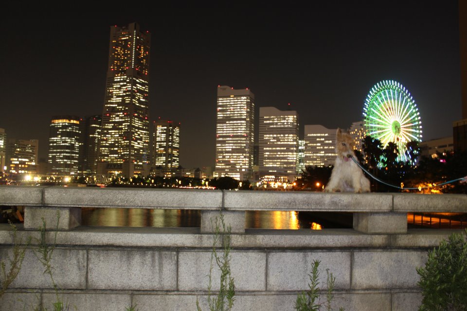 みんなで介護のおてつだい☆_c0245679_3455031.jpg