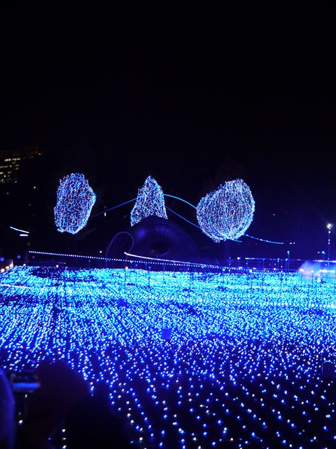 f0167281_1762639.jpg