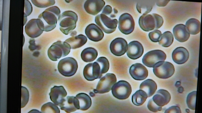 c0109891_19542136.jpg
