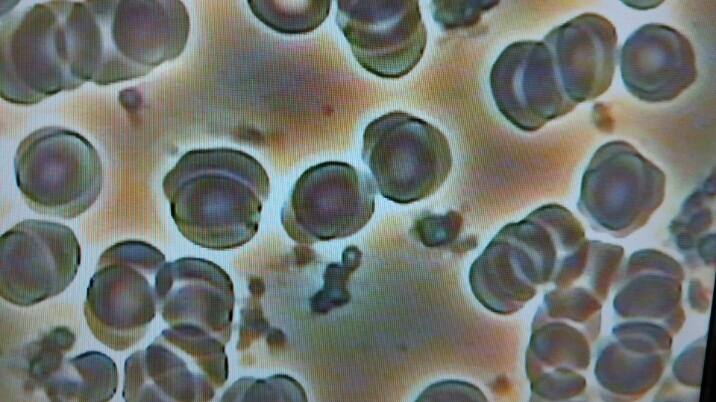 c0109891_1955996.jpg