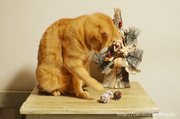 クリスマスカードとクリスマス猫　Xmas Cards & Xmas cat _d0025294_09259.jpg