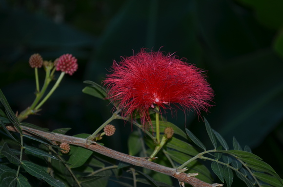 a0288500_20343689.jpg