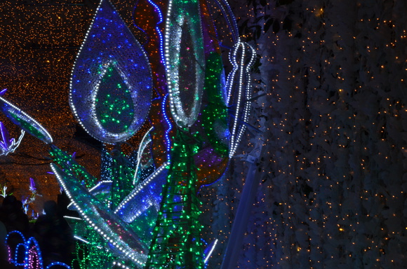 a0288500_20371273.jpg