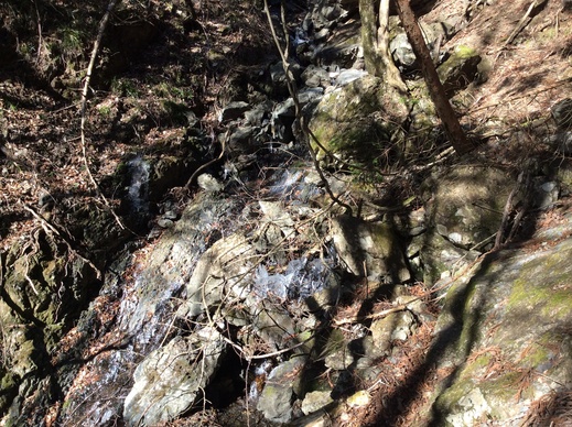 f0247600_2214756.jpg