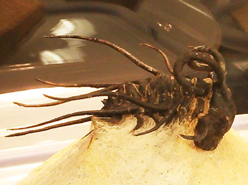 c0165803_18214795.jpg