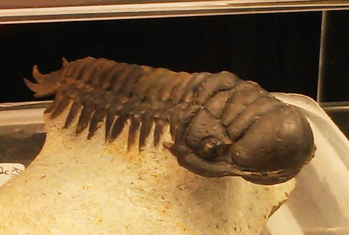c0165803_18215376.jpg