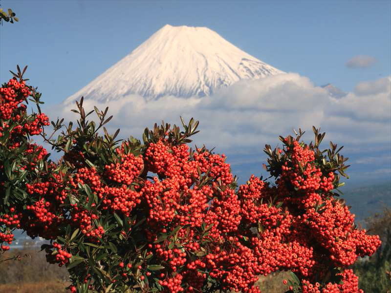 a0188405_20090871.jpg