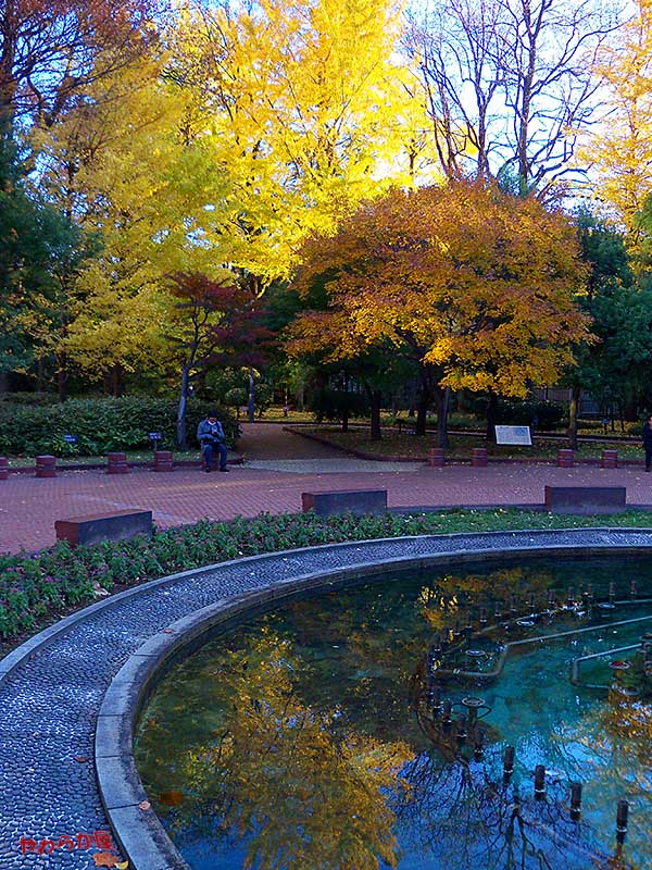 BACKGROUND REFLECTIONS @KAMOME-POND in HIBIYA-PARK_b0134907_839018.jpg