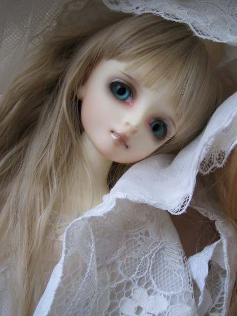 d0101907_1692100.jpg