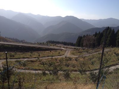 へべすの視察研修旅行_a0300410_2324599.jpg