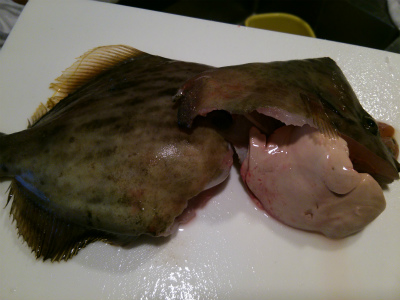 いわし_f0157910_1625384.jpg