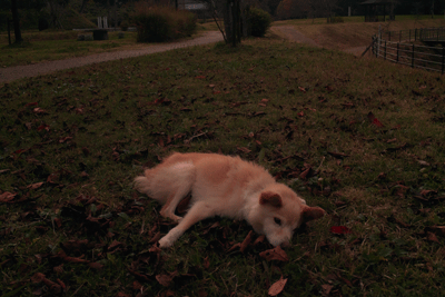 f0251613_00633.gif