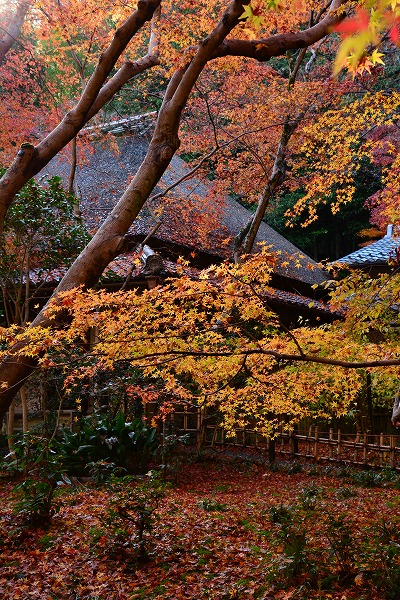 a0114714_184265.jpg