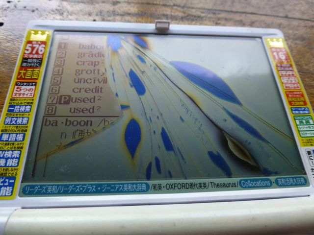 ウガンダ旅行記ー動物編2ーマウンテンゴリラ_f0096017_228692.jpg