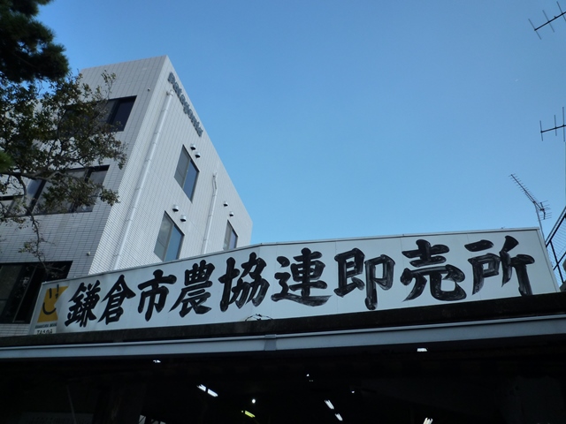 イワタコーヒー店　＠鎌倉_f0349822_112524100.jpg