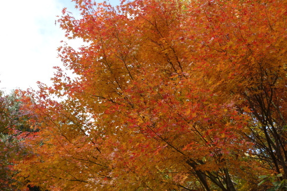d0112024_13172140.jpg