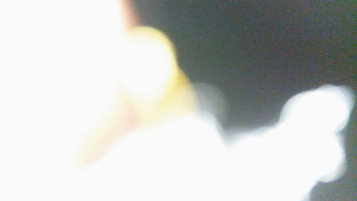 c0331825_20340844.jpg