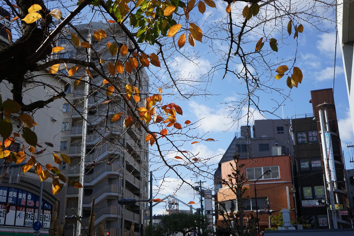 b0069128_9593779.jpg
