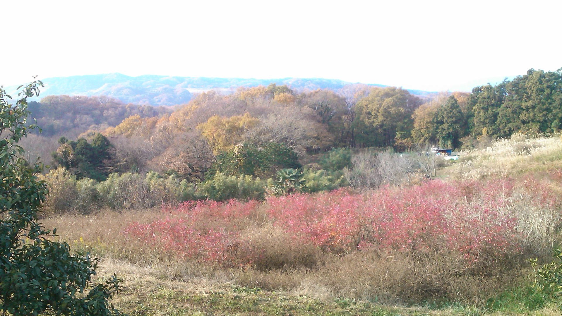 b0137932_1613287.jpg