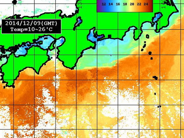 トンボはまだかな??【カジキ・マグロトローリング】_f0009039_17141601.jpg