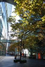 きょうは会社休みます。 「別れの温泉卓球奇跡のプロポーズ!」_e0080345_08032470.jpg