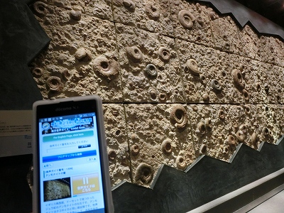 d0138650_21543120.jpg